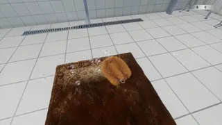 絨毯を洗うゲーム