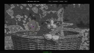 100 Hidden ASCII Cats