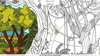 Covert Koalas: Phasco