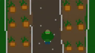 Archie's Pumpkin Patch