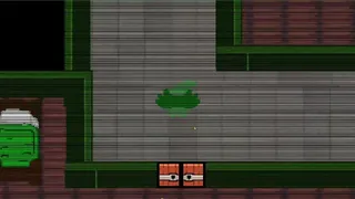 Archie's Pumpkin Patch