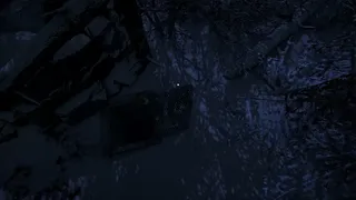 Cowpocalypse - The Night of the Lights