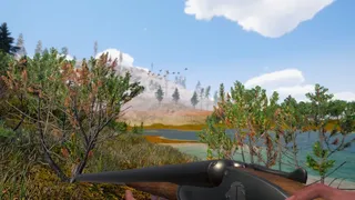 Birds Hunter