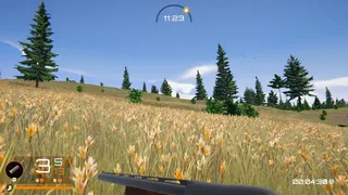 Birds Hunter