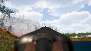 Birds Hunter