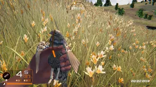 Скриншот 7 к игре Birds Hunter