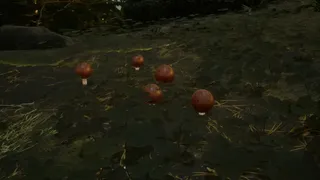 Mushroom Simulator Co-op