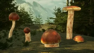 Mushroom Simulator Co-op