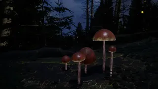 Скриншот 5 к игре Mushroom Simulator Co-op