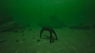 СИМУЛЯТОР МОРСКОЙ ЗВЕЗДЫ 👍