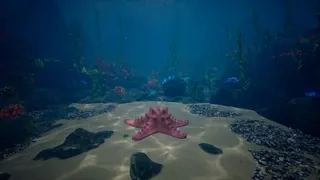 СИМУЛЯТОР МОРСКОЙ ЗВЕЗДЫ 👍