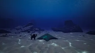Скриншот 5 к игре СИМУЛЯТОР МОРСКОЙ ЗВЕЗДЫ 👍