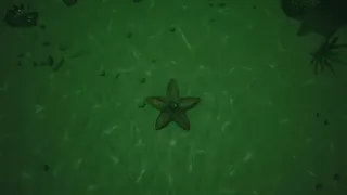 Скриншот 8 к игре СИМУЛЯТОР МОРСКОЙ ЗВЕЗДЫ 👍
