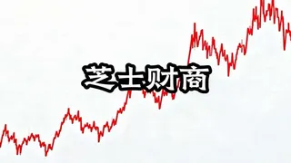 芝士财商 CheeseMoney