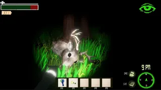 Eyes in the Woods