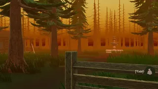 Eyes in the Woods