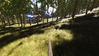 Broom Racer