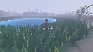 desert island time