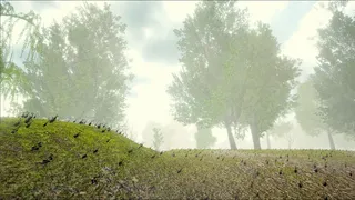 Drift