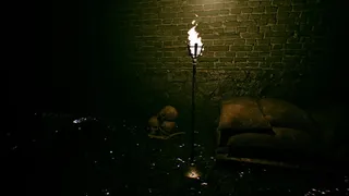 Phantom Veil
