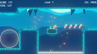 Carrot Catcher