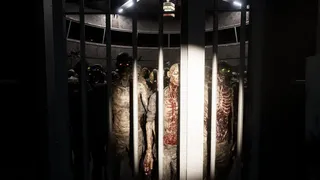Скриншот 5 к игре The Lazarus Game