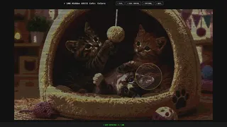 100 Hidden ASCII Cats: Colors