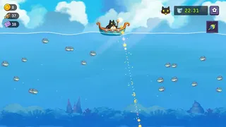 Fish to Cats: Catch & Feed