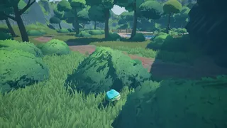 Mushroom Collector