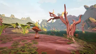 Mushroom Collector