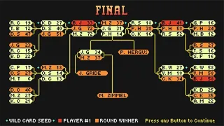 Скриншот 6 к игре Adam Willis's Roofball