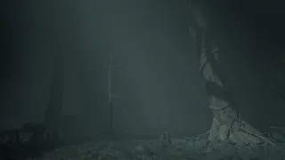 Divine Revenant