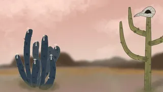 Rattle Spring