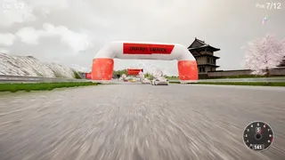 CarSim Racing