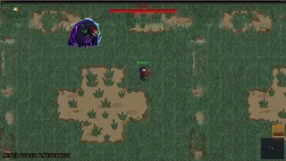 Ninja Survivor