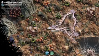Mycelium Conquest
