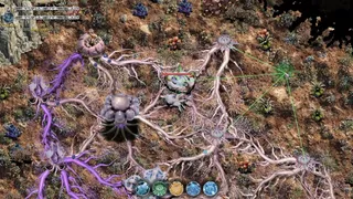 Mycelium Conquest