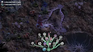 Скриншот 5 к игре Mycelium Conquest