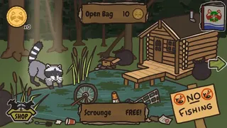 Reduce, Reuse, Raccoon