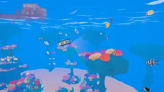 Cleaning The Ocean