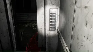 Hide and Seek