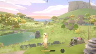 Hide and Shoot