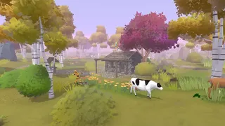 Hide and Shoot