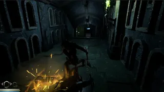 Reborn by Fire