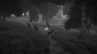 The Lost Paws
