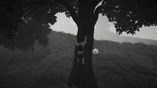 The Lost Paws
