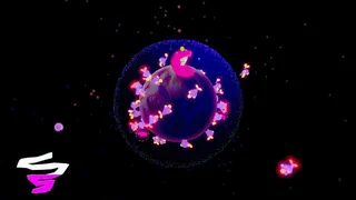 LiTTLE SYMBiO