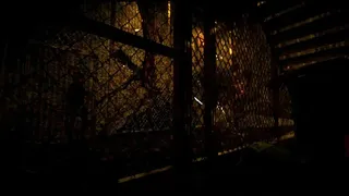 Скриншот 7 к игре Cornered Cadavers