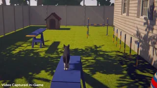 Whose Lawn Is It Anyway