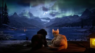 Cold Paws